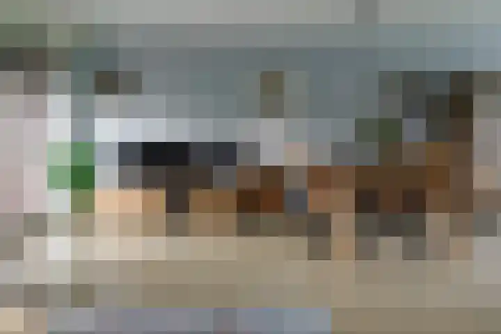 Baars 26 Borne thumbnail 16