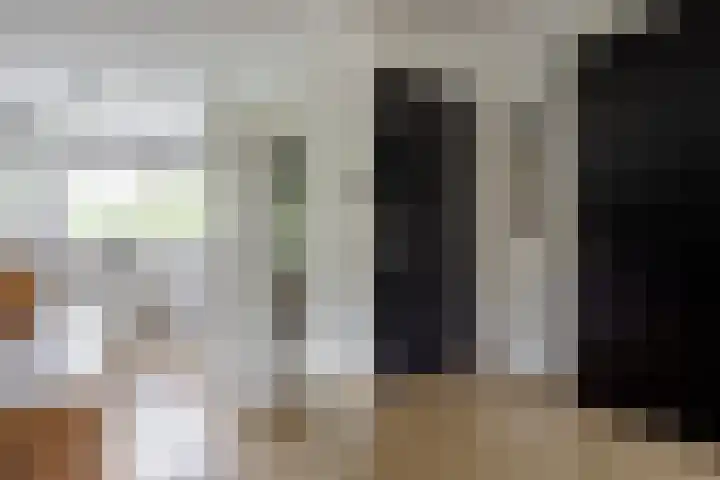 Baars 26 Borne thumbnail 17
