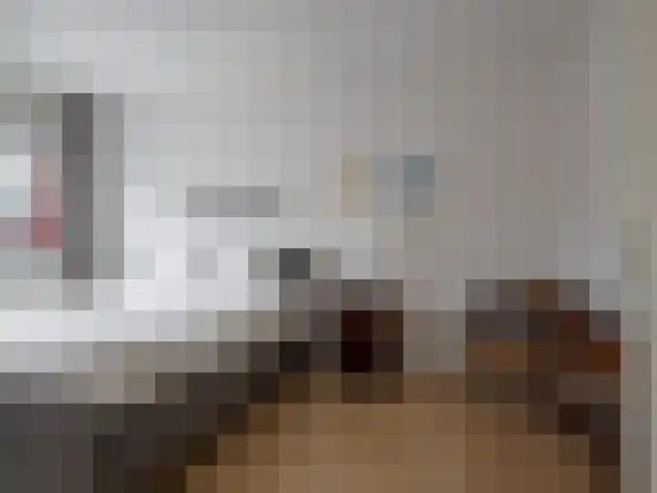 Baars 26 Borne thumbnail 18