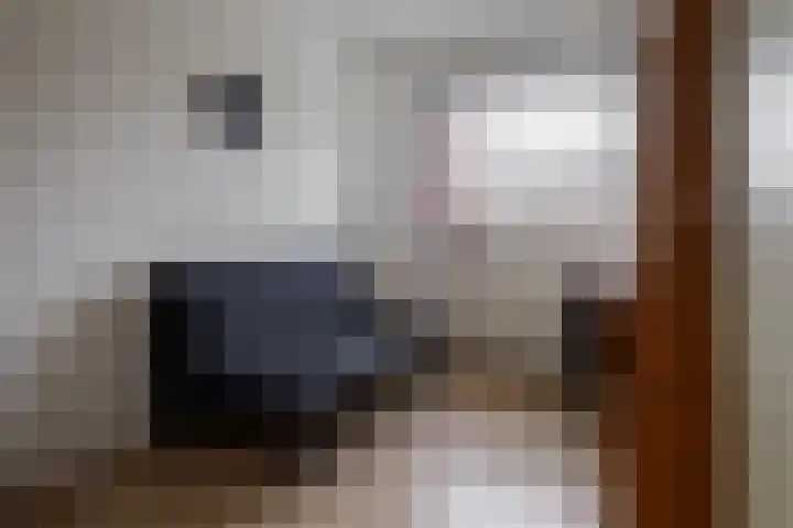 Baars 26 Borne thumbnail 20
