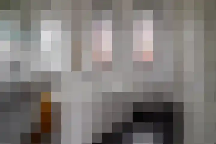Baars 26 Borne thumbnail 22