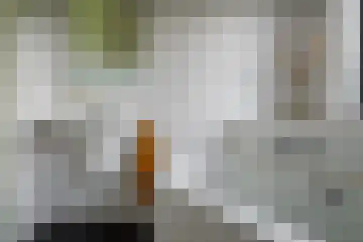 Baars 26 Borne thumbnail 24