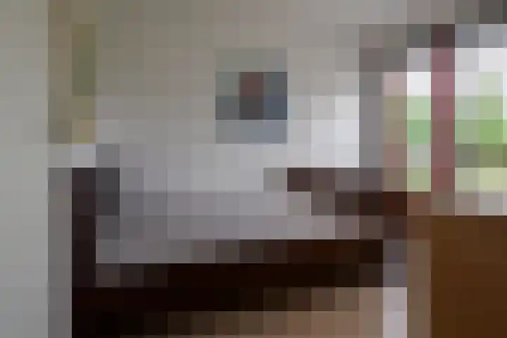 Baars 26 Borne thumbnail 25