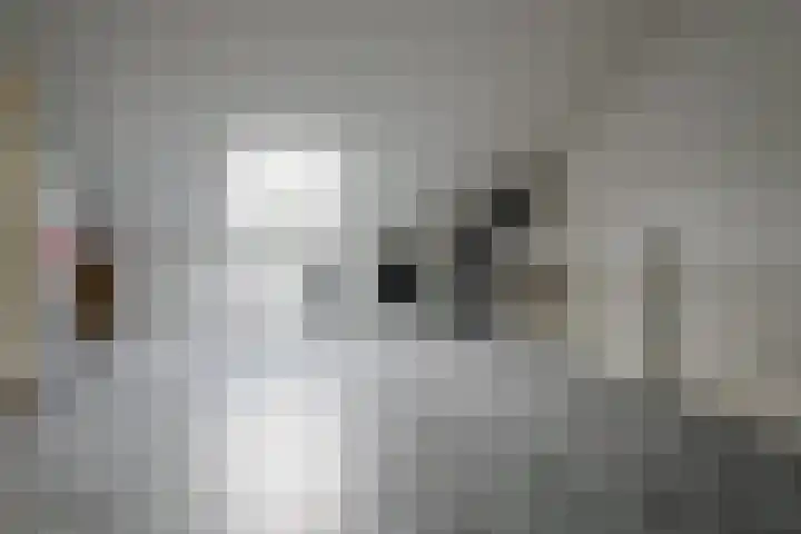 Baars 26 Borne thumbnail 28