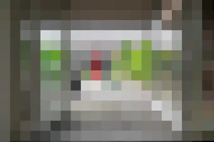 Baars 26 Borne thumbnail 29