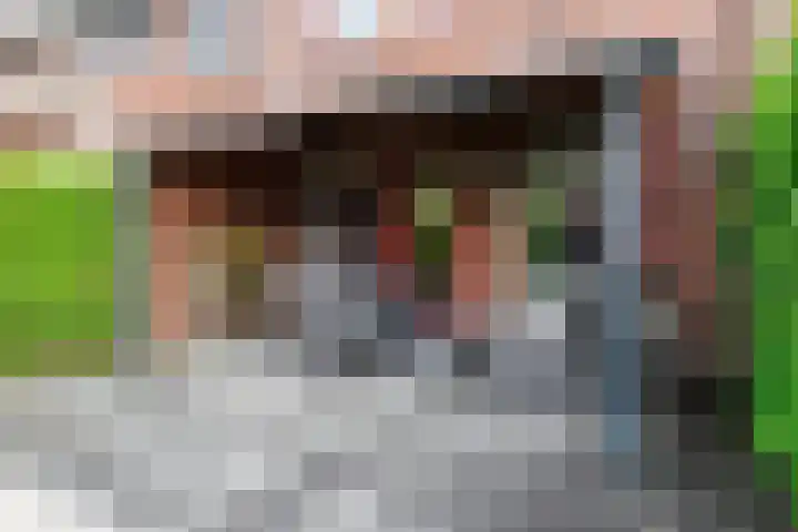 Baars 26 Borne thumbnail 32
