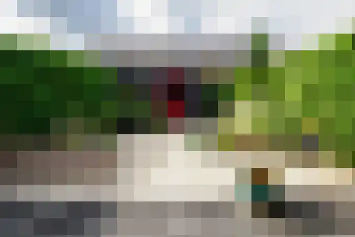 Baars 26 Borne thumbnail 33