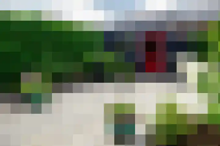 Baars 26 Borne thumbnail 34