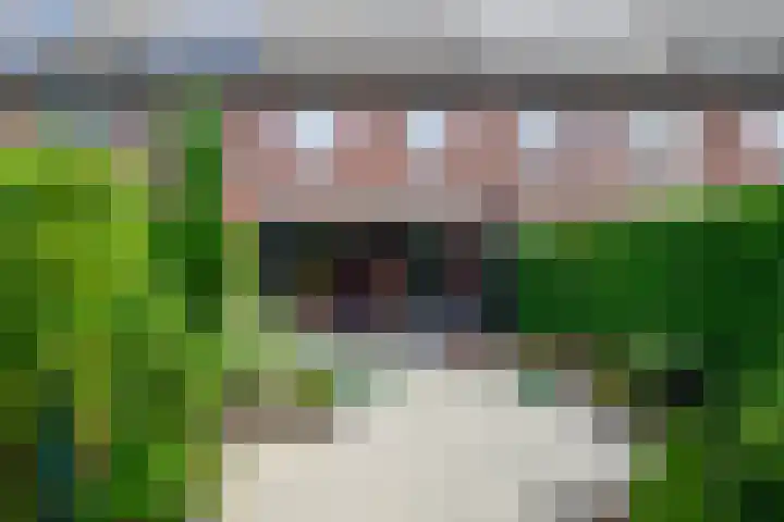 Baars 26 Borne thumbnail 35