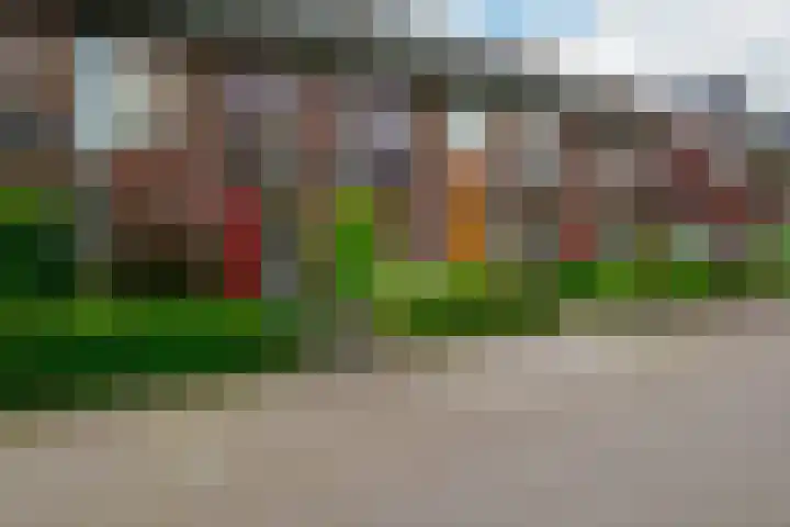 Baars 26 Borne thumbnail 36