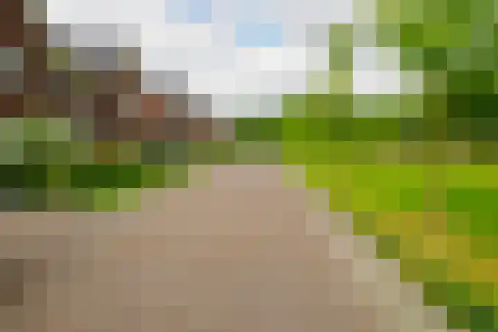 Baars 26 Borne thumbnail 37