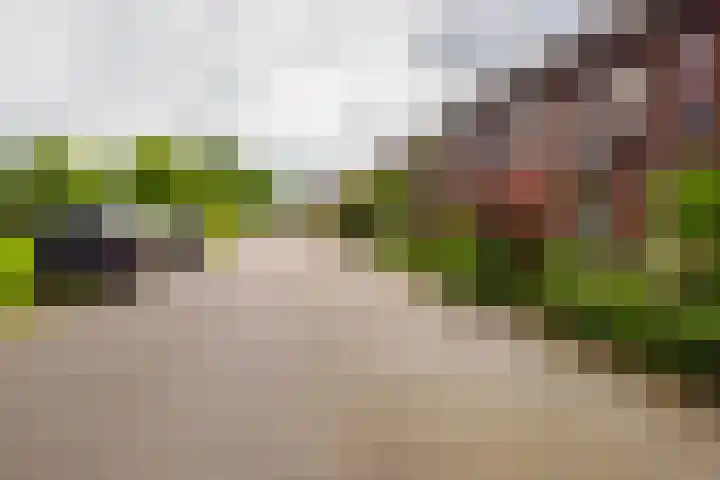 Baars 26 Borne thumbnail 39