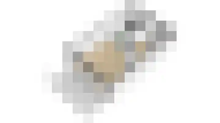Baars 26 Borne thumbnail 42