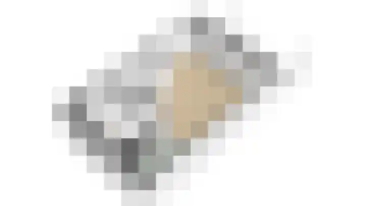 Baars 26 Borne thumbnail 43