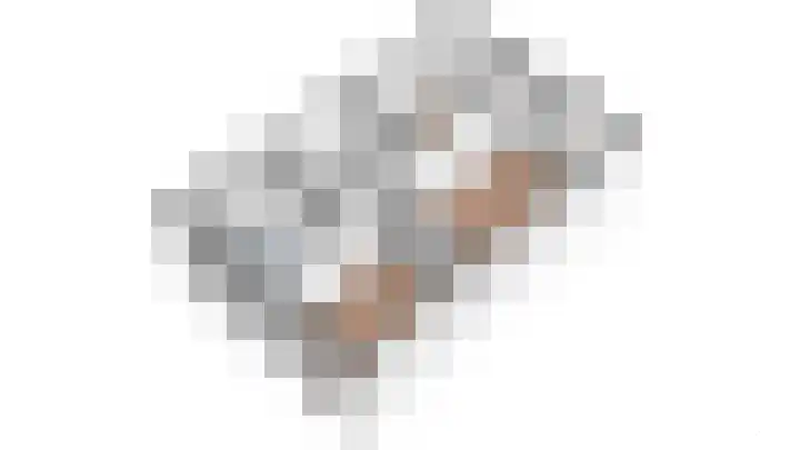 Baars 26 Borne thumbnail 49