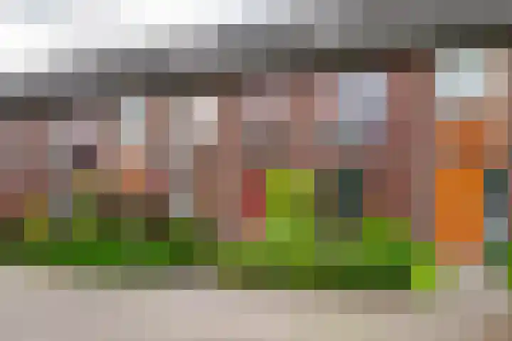 Baars 26 Borne thumbnail 5