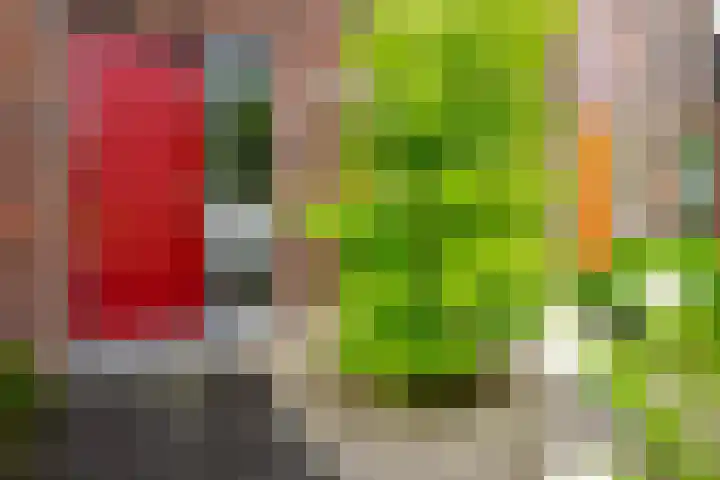 Baars 26 Borne thumbnail 6