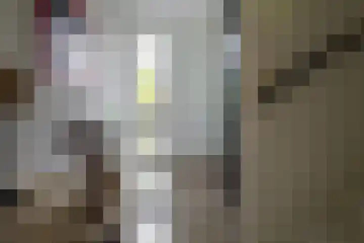 Baars 26 Borne thumbnail 7