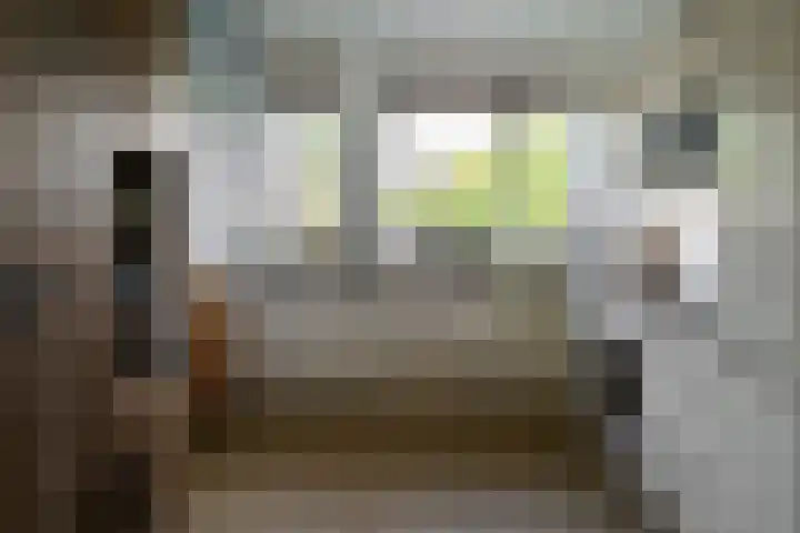 Baars 26 Borne thumbnail 9