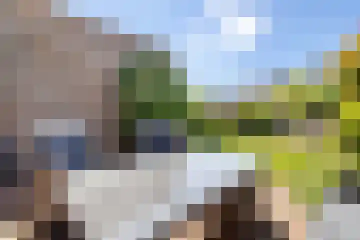 Baarssingel 4 Den Haag thumbnail 18