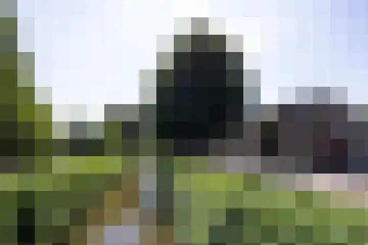 Baarssingel 4 Den Haag thumbnail 38