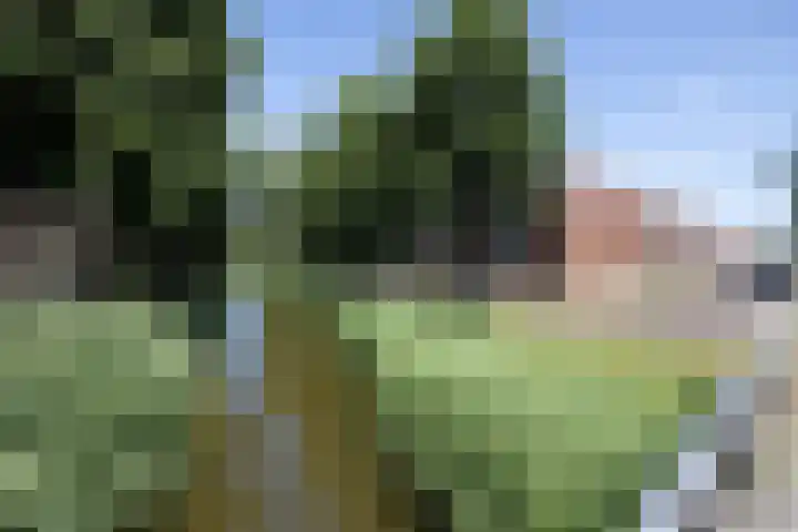 Baarssingel 4 Den Haag thumbnail 39