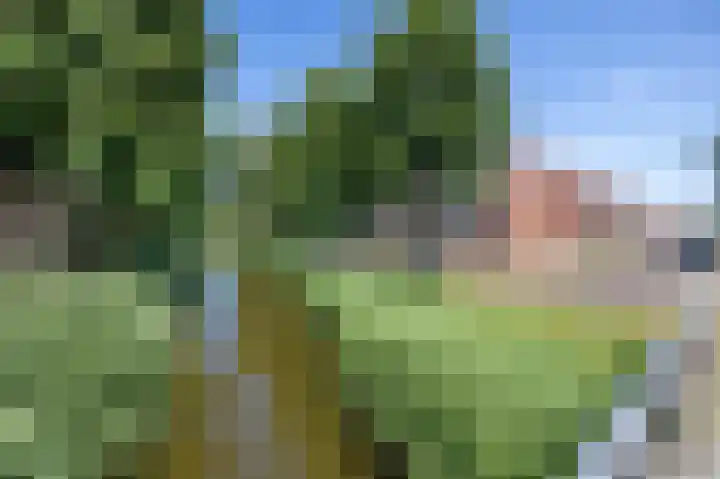 Baarssingel 4 Den Haag thumbnail 40