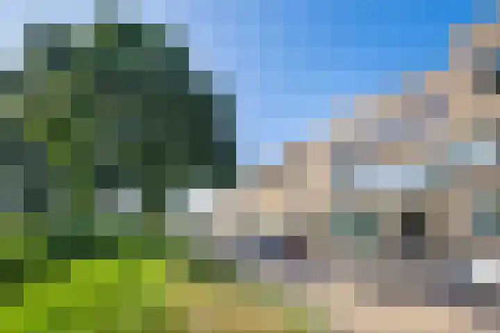 Baarssingel 4 Den Haag thumbnail 5