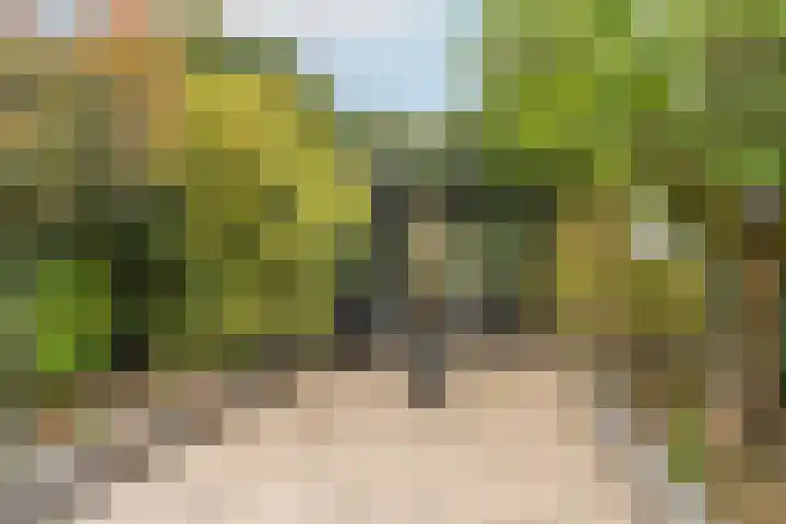 Baarssloot 6 Houten thumbnail 12