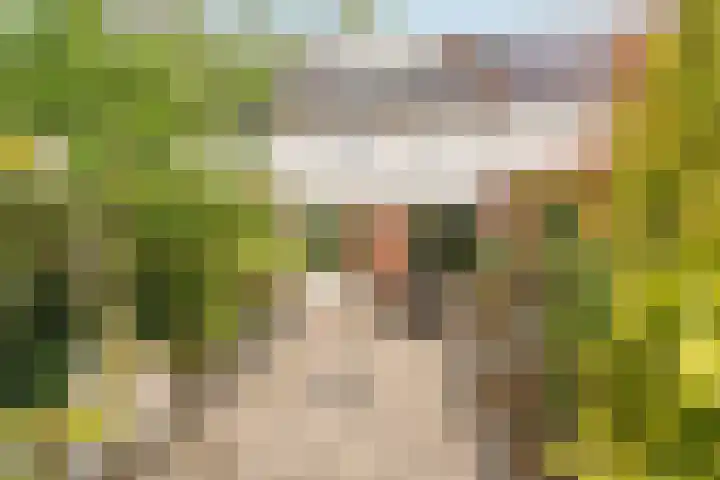 Baarssloot 6 Houten thumbnail 13