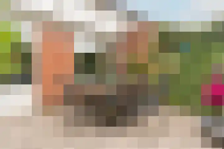 Baarssloot 6 Houten thumbnail 14
