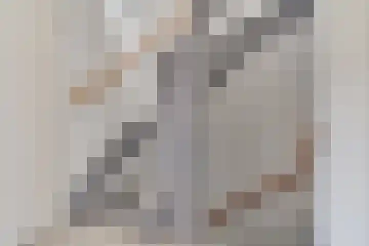 Baarssloot 6 Houten thumbnail 20