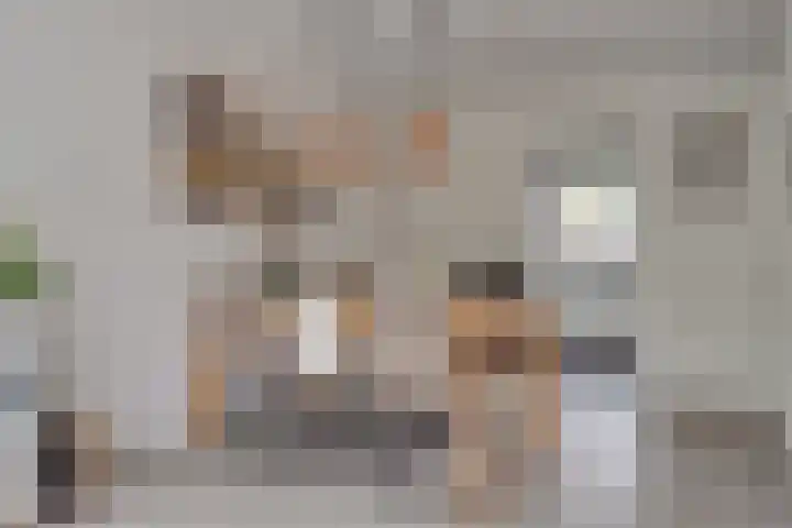 Baarssloot 6 Houten thumbnail 6