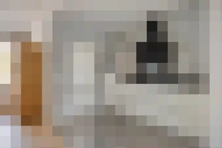 Baarsven 27 Goirle thumbnail 11