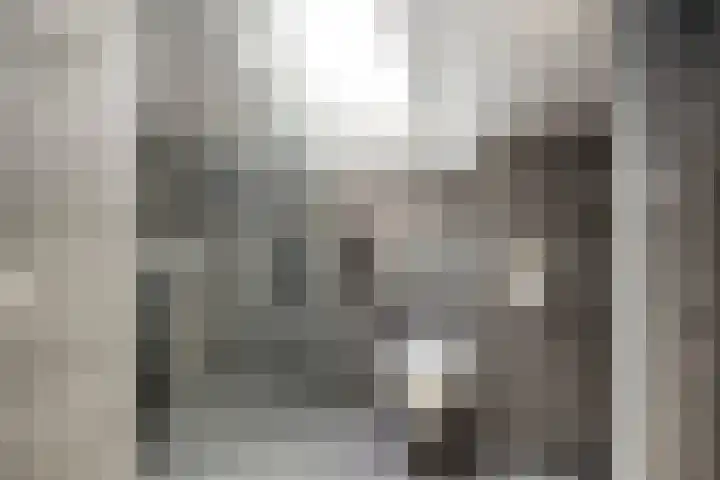 Baarsven 27 Goirle thumbnail 18