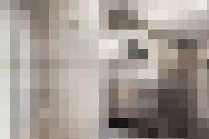 Baarsven 27 Goirle thumbnail 19