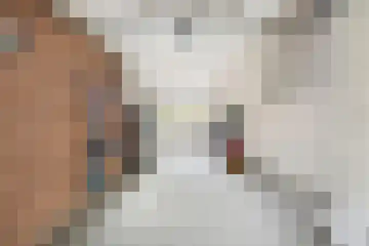 Baarsven 27 Goirle thumbnail 29