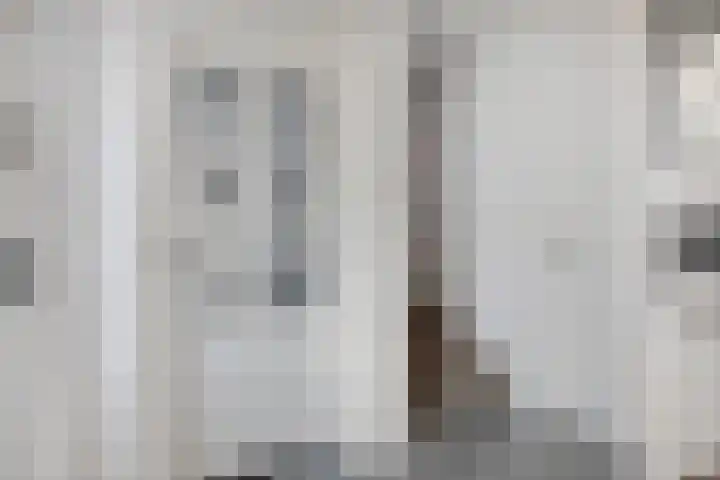 Baarsven 27 Goirle thumbnail 4