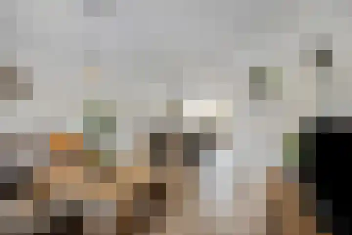 Baarsven 27 Goirle thumbnail 6