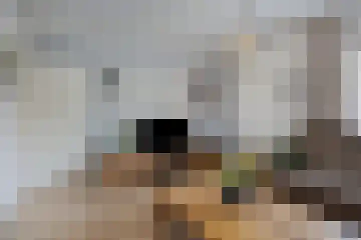 Baarsven 27 Goirle thumbnail 7