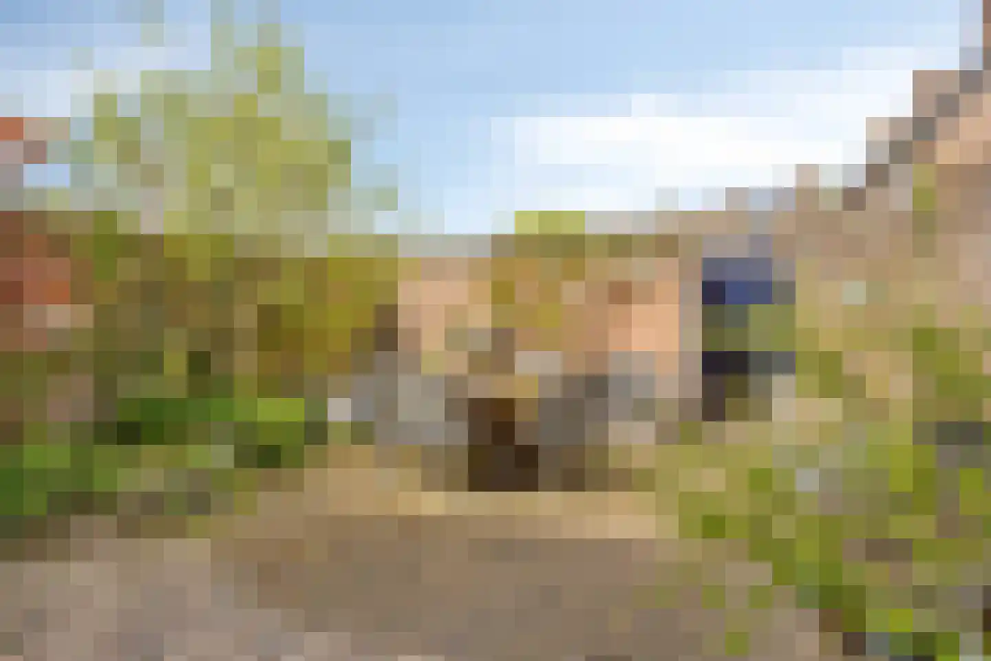 Baarsven 6 Goirle thumbnail 30