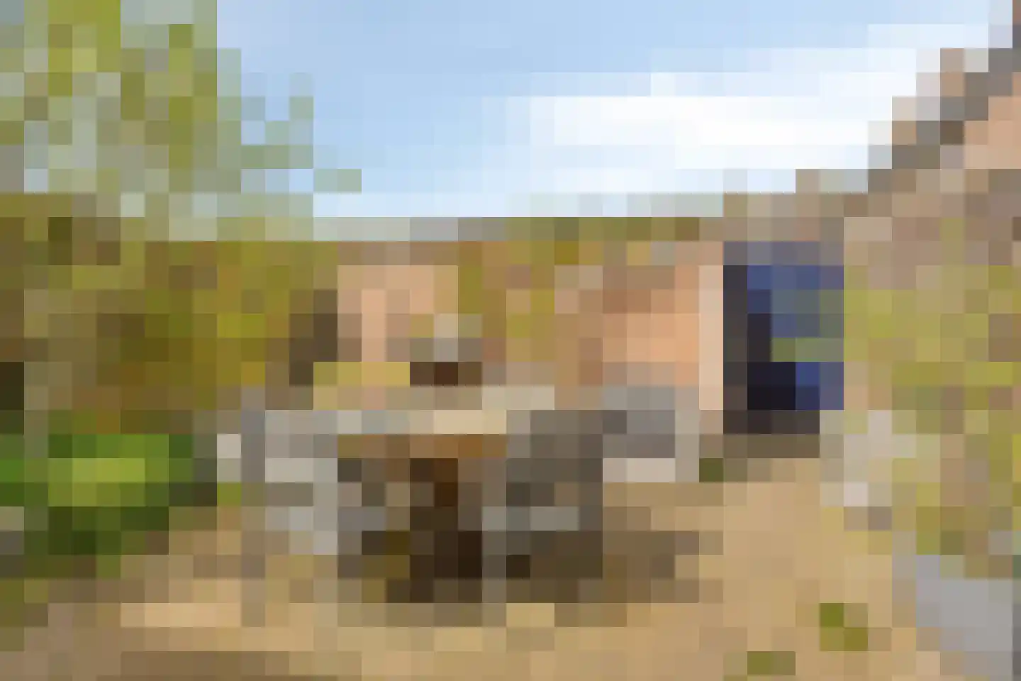 Baarsven 6 Goirle thumbnail 31