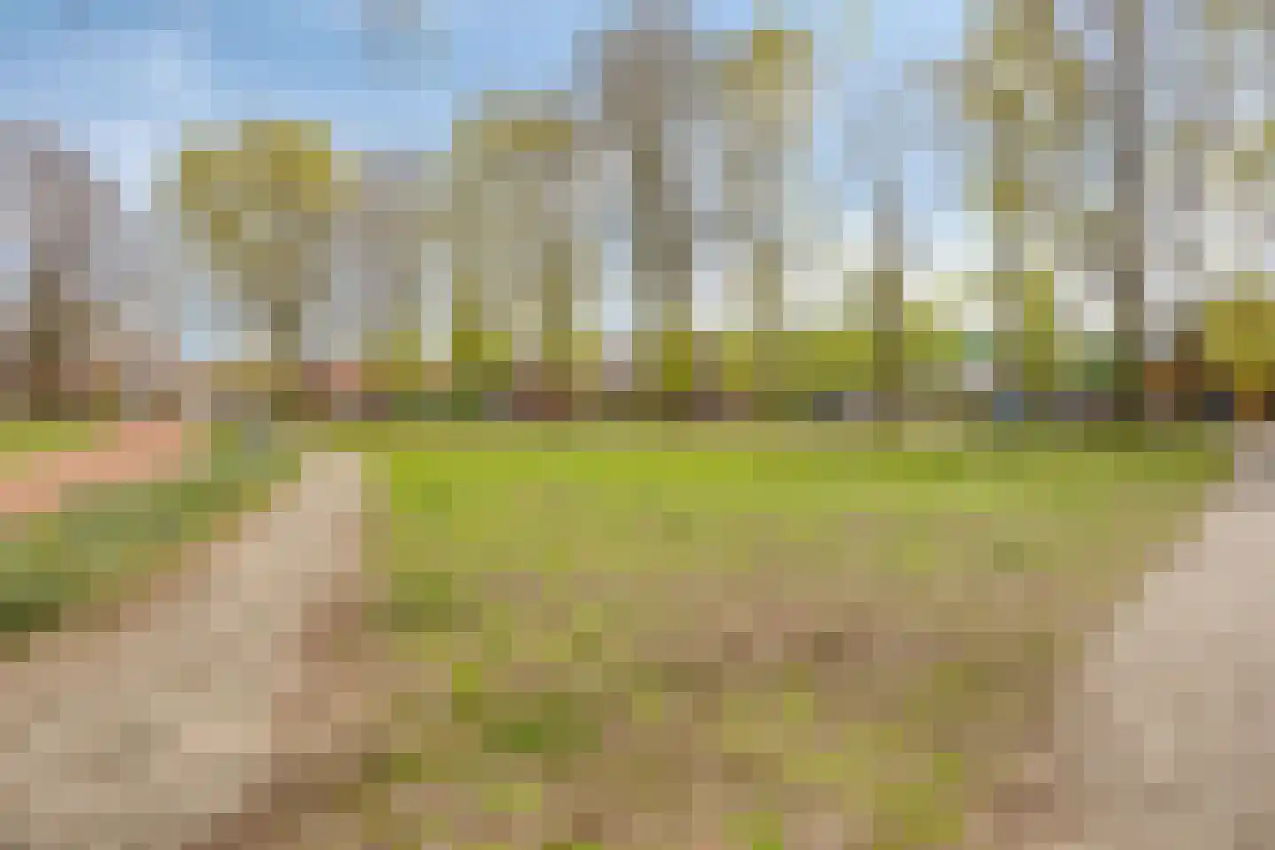 Baarsven 6 Goirle thumbnail 34