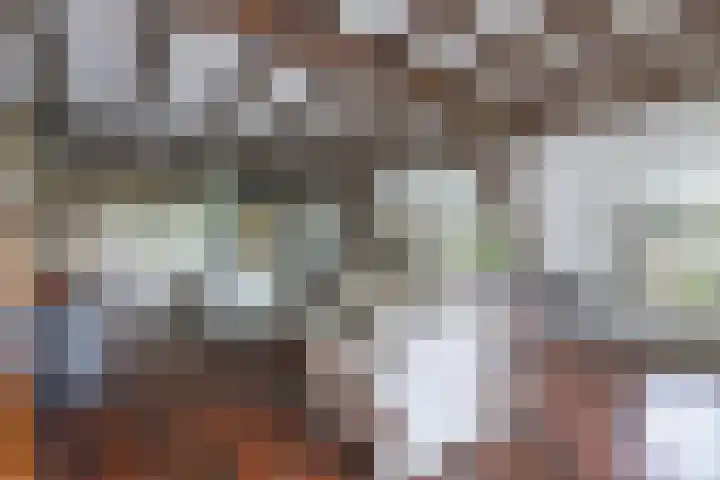 Baarsweg 4 Baars thumbnail 14