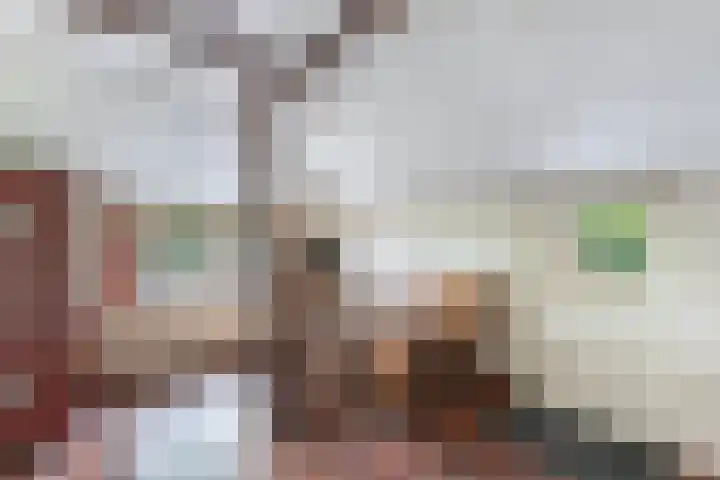 Baarsweg 4 Baars thumbnail 15