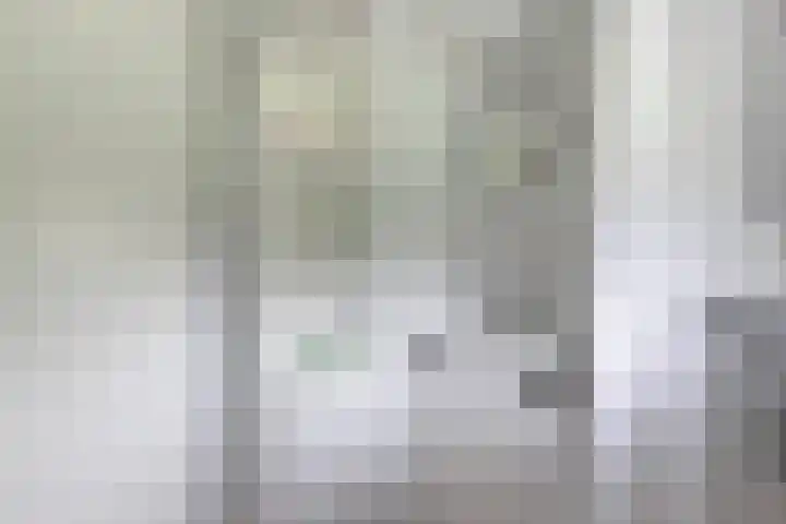 Baarsweg 4 Baars thumbnail 23