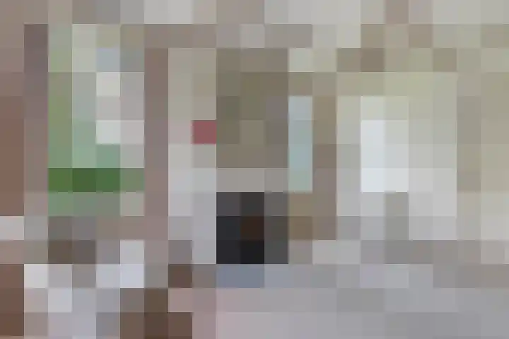 Baarsweg 4 Baars thumbnail 25
