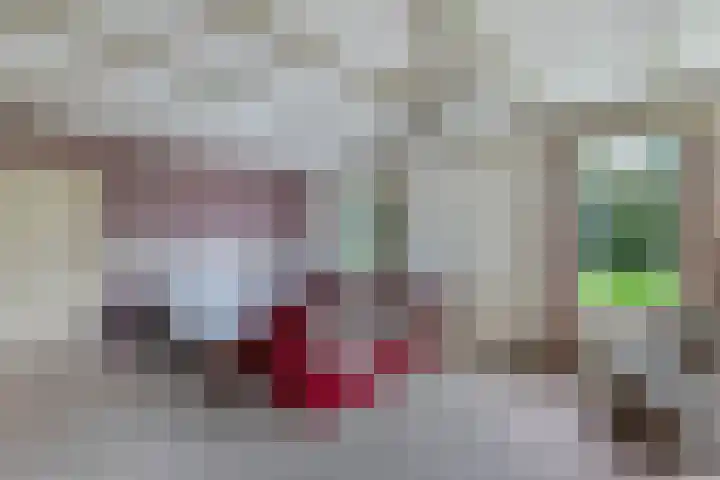 Baarsweg 4 Baars thumbnail 26