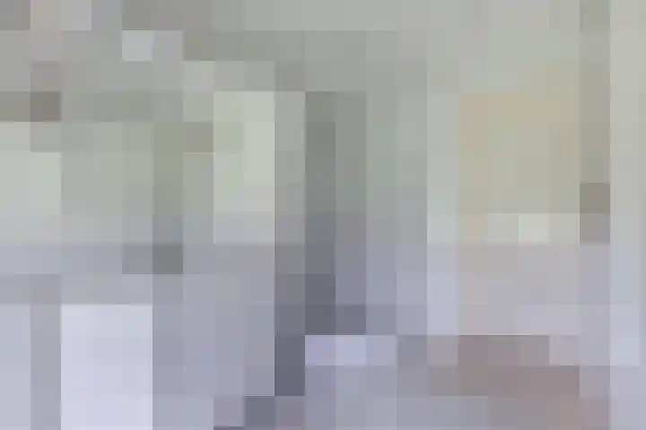 Baarsweg 4 Baars thumbnail 29