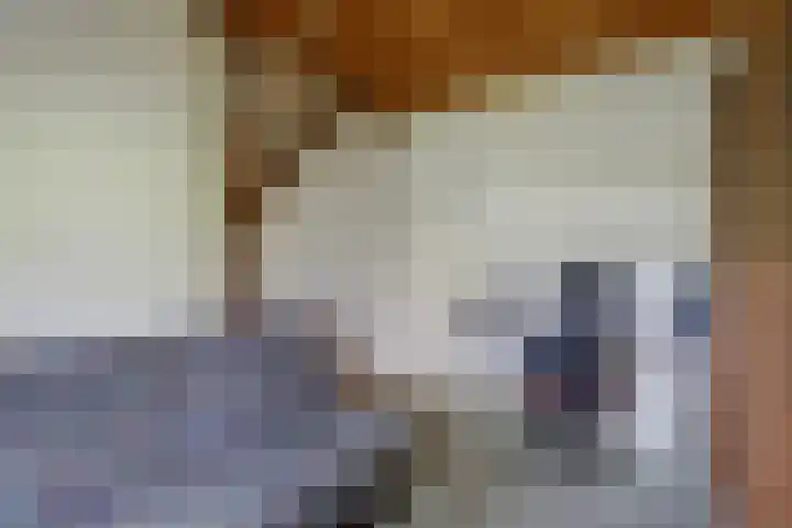 Baarsweg 4 Baars thumbnail 31